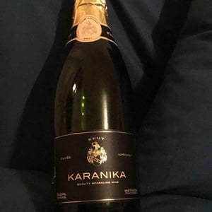 karanika cuvee speciale - Domaine Karanika - laurens-annette-hartman