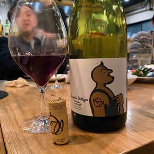 Karim Vionnet - Karim Vionnet - Beaujolais Villages