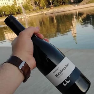 Kékfrankos Balf - Weingut Weninger (Austria) / Weninger Pincészet (Hungary) - Franz Weninger 