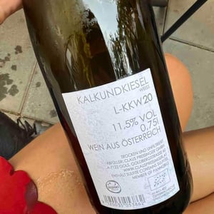 Weingut Claus Preisinger - Claus Preisinger - Kalkundkiesel Weiss