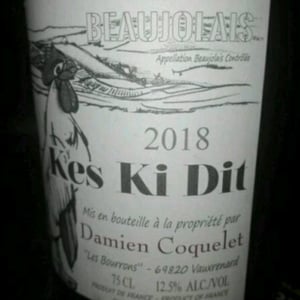 Kes Ki Dit - Damien Coquelet - Damien Coquelet 