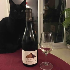 Kheops - Les Vignes de Paradis - Dominique Lucas 