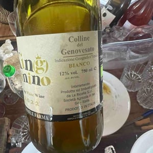 Kin(g)Tanino Fu**ing white wine - Azienda Agricola La Ricolla - daniele-parma -2020