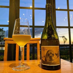 Kiss feat Yuki Yashiro from Paris - Kunoh Wines - Yuki Nakano 