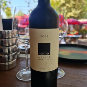 Merlot - Organic farm Mlečnik - mlecnik-valter-and-klemen