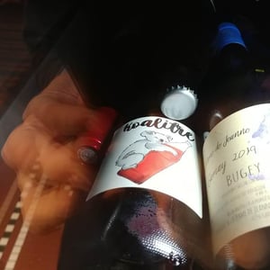 Koalitre - Domaine du Petit Oratoire - lori-haon