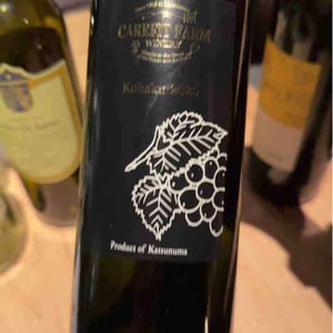 Kohaku - Carefit Farm Winery - Takuya Nakane -2020