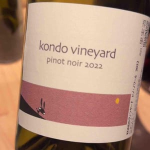 Tap-Kop Pinot Noir (Kondo Vineyard) - Kurisawa Wines - Kondo Vineyard & Nakazawa Vineyard - Kazuyuki & Yukiko Nakazawa, Ryosuke & Takumi Kondo 