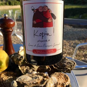 Kopin! (blanc) - Domaine Ganevat - anne-jean-francois-ganevat