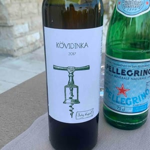 Kövidinka - Árpád Balog - arpad-balog -2017