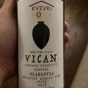 Kvevri House - Vican - vican
