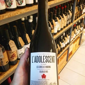 L'Adolescent - Celler Les Foes - Roger Díaz -2022