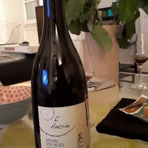 L' Ancrie - Les Grandes Vignes - Laurence, Dominique & Jean-François Vaillant 