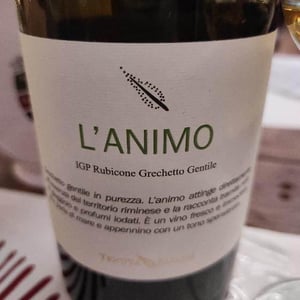 L' Animo - Tenuta Saiano - manlio-maggioli-alex-fulvi