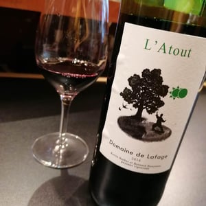 L'Atout - Kévin Barbet paysan vigneron - kevin-barbet -2016