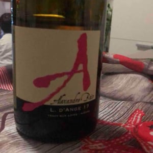L. d’Ange 36 mois - Domaine Alexandre Bain - alexandre-bain