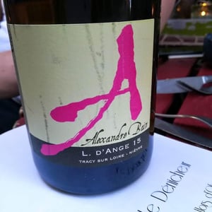 Domaine Alexandre Bain - Alexandre Bain - L. d’Ange
