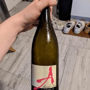 Domaine Alexandre Bain - Alexandre Bain - L. d’Ange