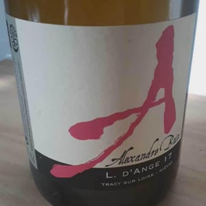 Domaine Alexandre Bain - Alexandre Bain - L. d’Ange