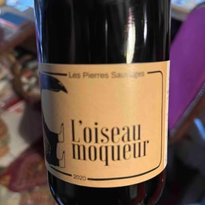 L’oiseau Moqueur - Les Pierres Sauvages - edern-le-brun -2021