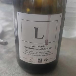 L - Ugo Lestelle - ugo-lestelle