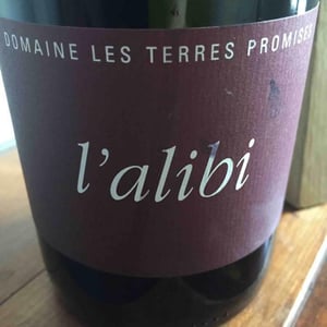 Les Terres Promises - Jean-Christophe Comor - L’Alibi