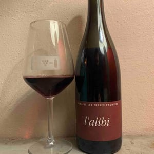L’Alibi - Les Terres Promises - Jean-Christophe Comor 
