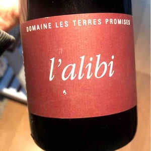 L’Alibi - Les Terres Promises - Jean-Christophe Comor 