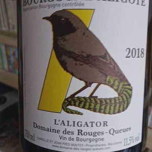 L’Aligator - Domaine des Rouges-Queues - Isabelle & Jean-Yves Vantey 
