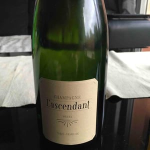 L'Ascendant (Extra-Brut) - Champagne Mouzon Leroux - sebastien-mouzon