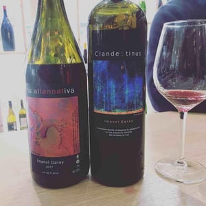 La Altannativa 2016 - Imanol Garay - Imanol Garay