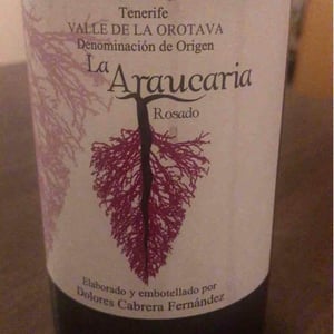 La Araucaria Tinto - Bodega La Araucaria - Dolores Cabrera Fernandez 
