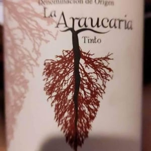 La Araucaria Rosado - Bodega La Araucaria - Dolores Cabrera Fernandez 