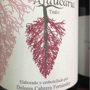 La Araucaria Rosado - Bodega La Araucaria - Dolores Cabrera Fernandez 