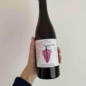La Araucaria Rosado - Bodega La Araucaria - dolores-cabrera-fernandez