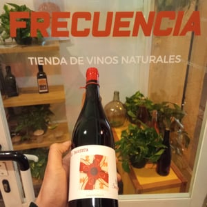 La Basseta - Cellers de Can Suriol del Castell - Azimut - assis-suriol -2021
