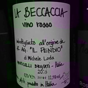 La Beccaccia - Il Pendio - michele-loda -2014