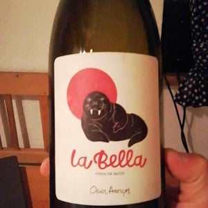 Mas Pellisser - Oriol Artigas - La Bella
