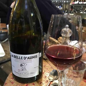 La Belle d’Aunis 2015 - Domaine de la Roche Bleue - Sébastien Cornille