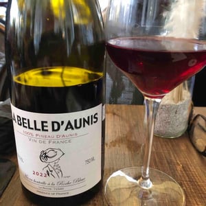 La Belle d’Aunis - Domaine de la Roche Bleue - sebastien-cornille