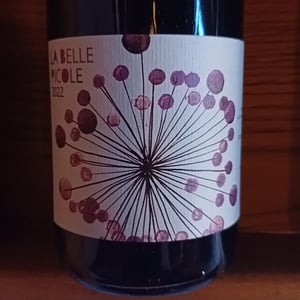 La belle picole - Colline de l’hirondelle - Didier Ferrier & Jennifer Buck -2022