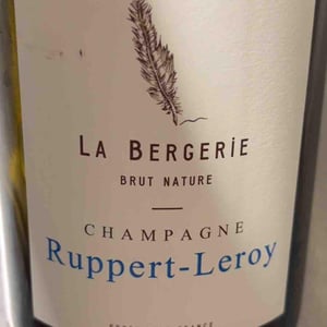 La Bergerie - Champagne Ruppert-Leroy - emmanuel-ruppert-benedicte-leroy