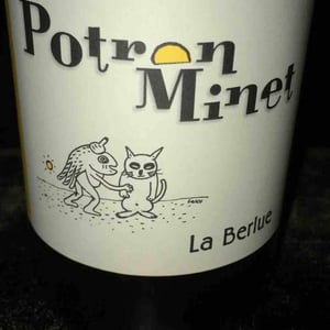 Potron Minet - Jean-Sébastien Gioan - La Berlue