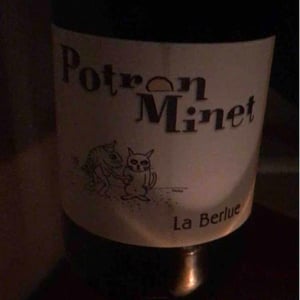 La Berlue - Potron Minet - Jean-Sébastien Gioan 
