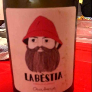 La Bestia - Mas Pellisser - Oriol Artigas 