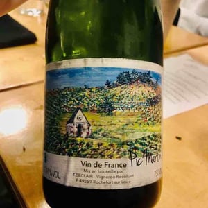 La bête à bon dieu - Loire - gildas-thierry-beclair