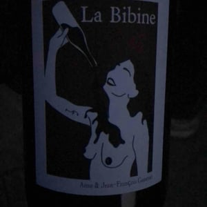 Domaine Ganevat - Anne & Jean-François Ganevat - La Bibine