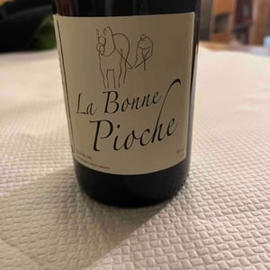 La Bonne Pioche - Michel Guignier - Michel Guignier 