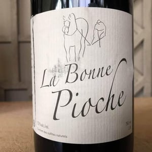 La Bonne Pioche - Michel Guignier - michel-guignier