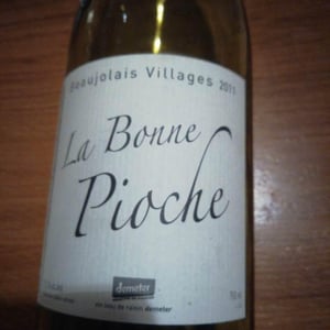 La Bonne Pioche - Michel Guignier - michel-guignier